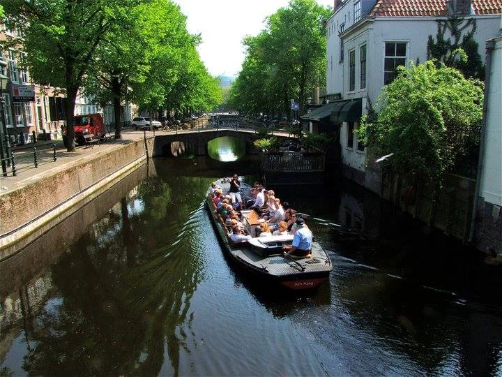 Algemene voorwaarden
