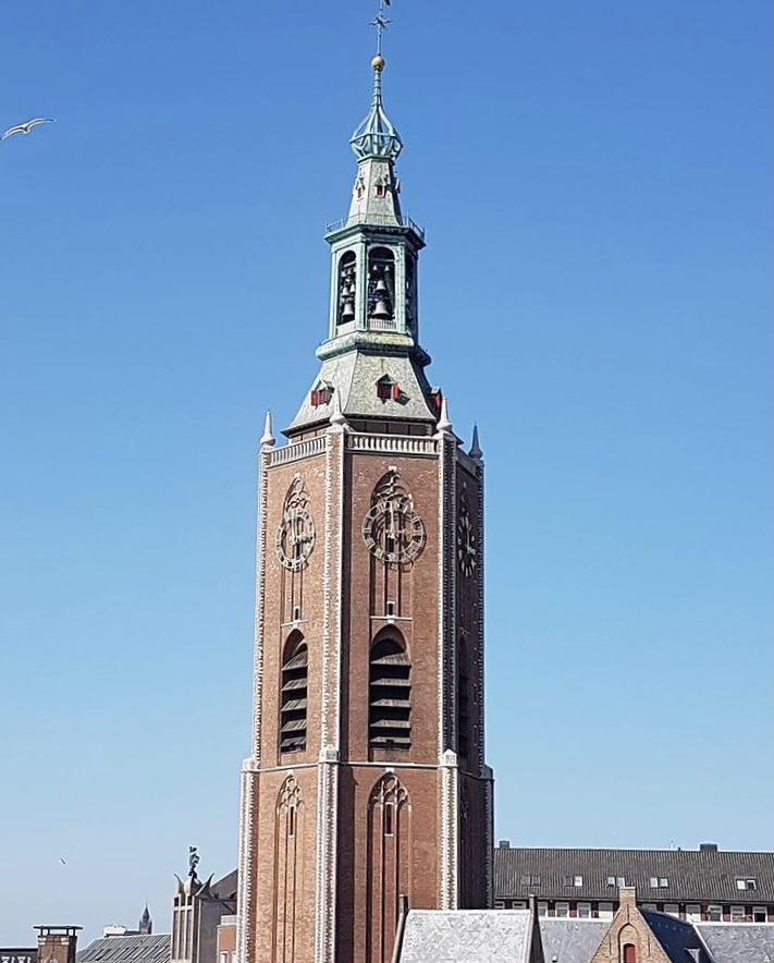 Burendag op De Haagse Toren